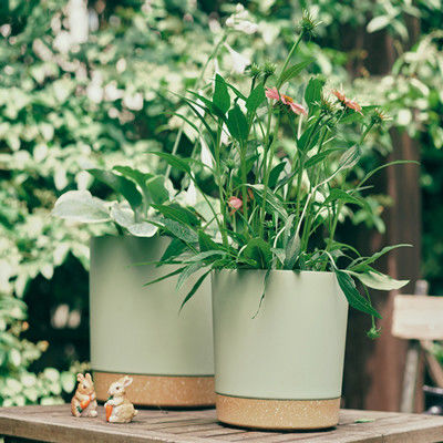 배류 정공과 제거가능 베이스와 실내 플라스틱 녹색 식물 포트