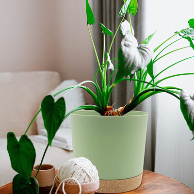 배류 정공과 제거가능 베이스와 실내 플라스틱 녹색 식물 포트